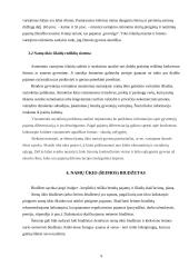 Namų ūkių pajamos ir išlaidos bei šeimos biudžetas 8 puslapis