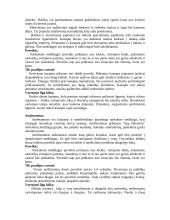  Narkomanija yra liga 2 puslapis