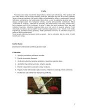 Narkomanijos problema jaunimo tarpe 2 puslapis