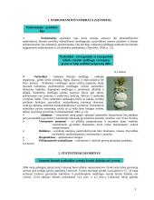 Narkomanijos problema jaunimo tarpe 3 puslapis