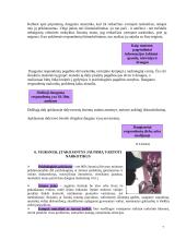 Narkomanijos problema jaunimo tarpe 7 puslapis