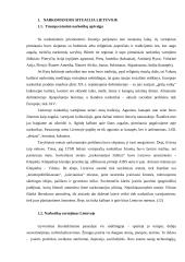 Narkomanijos situacija Lietuvoje ir prevencija 4 puslapis