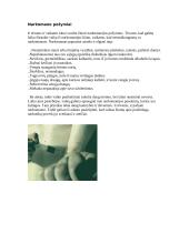 Narkotikai, jų žala, narkotikų rūšys 3 puslapis