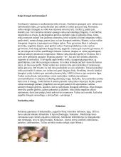 Narkotikai, jų žala, narkotikų rūšys 4 puslapis