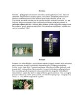 Narkotikai, jų žala, narkotikų rūšys 6 puslapis