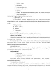 Narkotikų atsiradimo istorija 8 puslapis