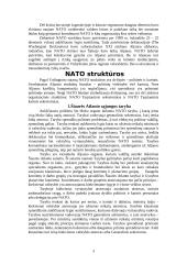 NATO struktūra ir Lietuva NATO sudėtyje 3 puslapis