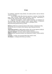 Naujausi klijai 3 puslapis