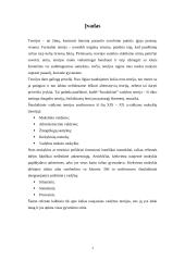 Naujausios vadybos teorijos 2 puslapis