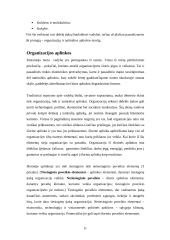 Naujausios vadybos teorijos 12 puslapis