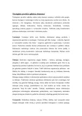 Naujausios vadybos teorijos 13 puslapis