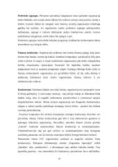 Naujausios vadybos teorijos 15 puslapis