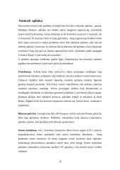 Naujausios vadybos teorijos 19 puslapis