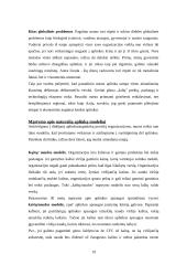 Naujausios vadybos teorijos 20 puslapis