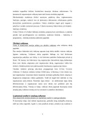 Naujausios vadybos teorijos 6 puslapis