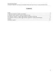 Naujosios viešosios vadybos įgyvendinimo problemos Lietuvoje ir Vakarų demokratijose 2 puslapis