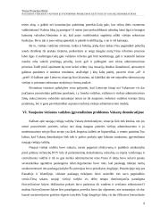 Naujosios viešosios vadybos įgyvendinimo problemos Lietuvoje ir Vakarų demokratijose 9 puslapis