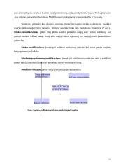 Naujų prekių kūrimas ir marketingas 13 puslapis