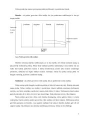 Naujų prekių kūrimas ir marketingas 8 puslapis