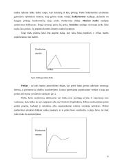 Naujų prekių kūrimas ir marketingas 10 puslapis