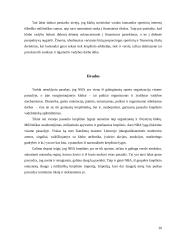 NBA klubų vadyba 19 puslapis