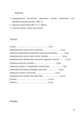 Neapskaitoma ekonomika 12 puslapis