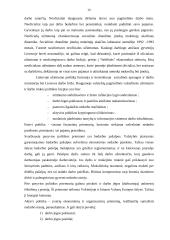 Nedarbo tipai, .lygiai 19 puslapis