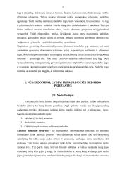 Nedarbo tipai, .lygiai 3 puslapis