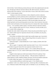 Nedarbo rūšys 6 puslapis