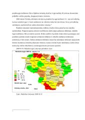 Nedarbo rūšys 10 puslapis