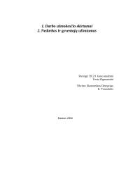 Nedarbas ir gyventojų užimtumas 7 puslapis