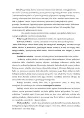 Nedarbas ir nedarbo rūšys 2 puslapis