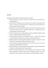 Nedarbas Lietuvoje 18 puslapis