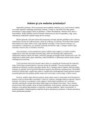 Nedarbas Lietuvoje 3 puslapis