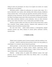 Nedarbas Lietuvoje, jo priežastys, grėsmė bei gerinimo būdai 3 puslapis