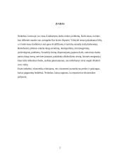 Nedarbo problemos, priežastys ir rodikliai Lietuvoje 2 puslapis