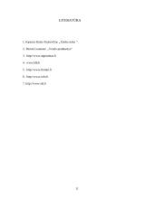 Nedarbo problemos, priežastys ir rodikliai Lietuvoje 11 puslapis