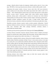 Nedarbas Lietuvoje ir užimtumo struktūra 13 puslapis