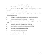 Nedarbas Lietuvoje ir užimtumo struktūra 17 puslapis