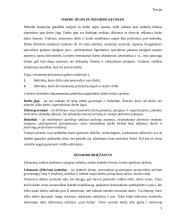 Nedarbas Lietuvoje ir užimtumo struktūra 2 puslapis