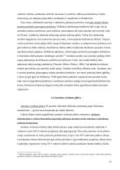 Nedarbo problema jaunystės amžiaus tarpsnyje (18 – 29 metų) 12 puslapis