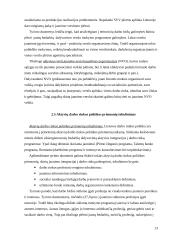 Nedarbo problema jaunystės amžiaus tarpsnyje (18 – 29 metų) 13 puslapis