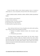 Nedarbo problema Lietuvoje 11 puslapis