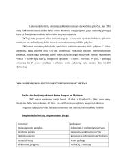 Nedarbo problema Lietuvoje 12 puslapis