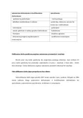 Nedarbo problema Lietuvoje 13 puslapis