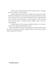 Nedarbo problema Lietuvoje 16 puslapis