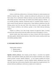 Nedarbo problema Lietuvoje 3 puslapis