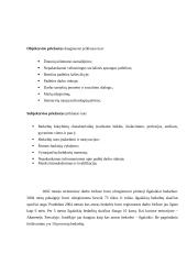 Nedarbo problema Lietuvoje 4 puslapis