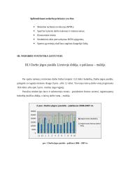 Nedarbo problema Lietuvoje 6 puslapis