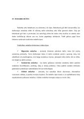 Nedarbo problema Lietuvoje 9 puslapis